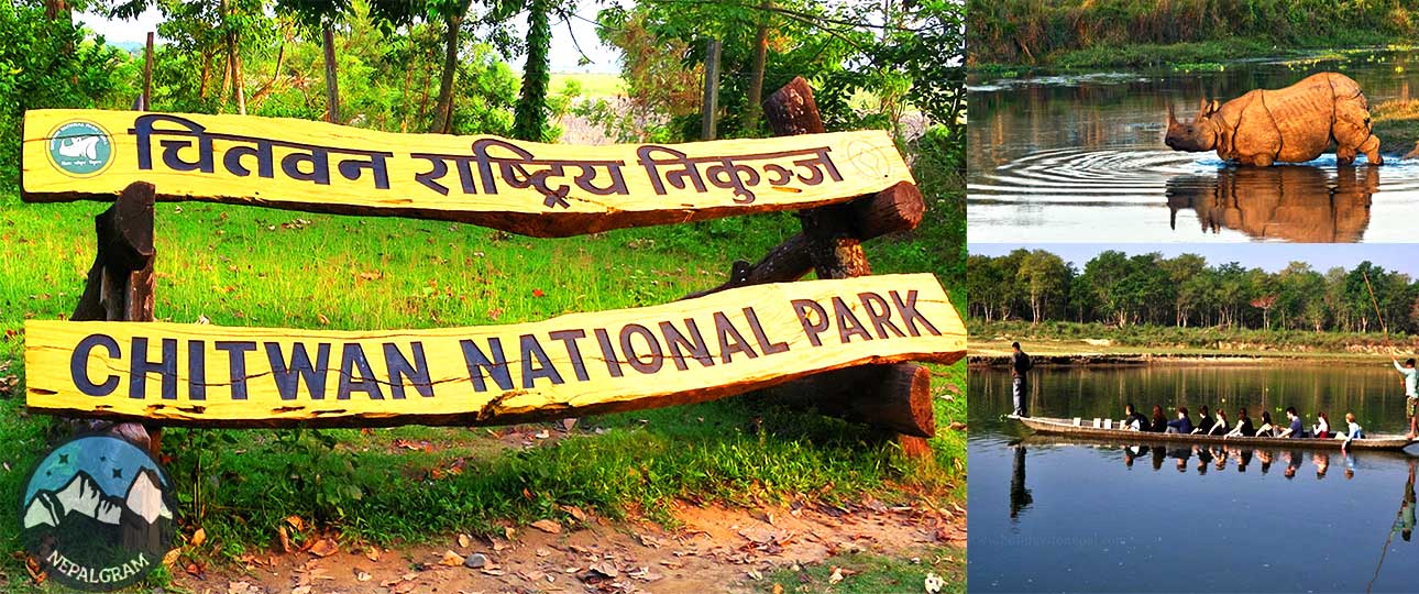 Chitwan Jungle Safari