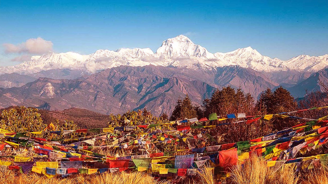 Ghorepani Poon Hill Trek